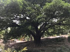 -晓港公园
