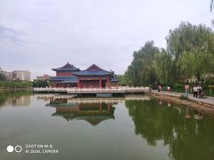 -雁滩公园