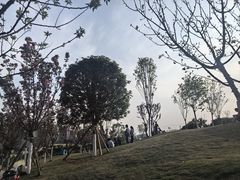 -重庆平顶山公园