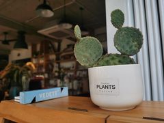 -Cafe In Little Forest