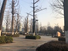 -百林公园-两江幸福广场