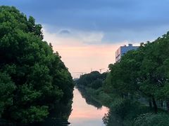 -杨记齐齐哈尔烤肉(五莲路店)