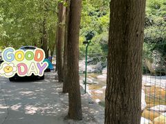 -沣峪森林公园龙潭戏水景区