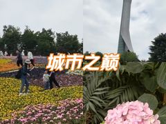 -沈阳植物园