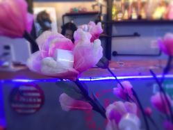 -BM SALON