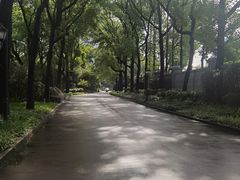 -上海虹桥迎宾馆