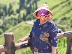 -新疆那拉提国家旅游度假区
