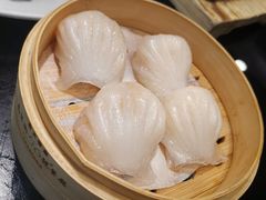 -高第街56号餐厅(凯德mall新都心店)