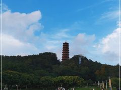 -红花山公园