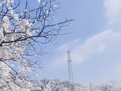 -紫金山山顶公园