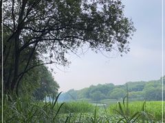 -茅家埠