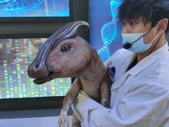 -侏罗纪世界电影特展(广州站)