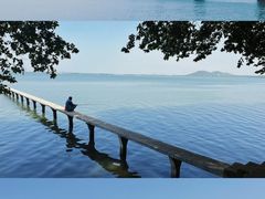 -巴厘龙虾·榜首油焖大虾(洞庭·艺术洋房店)