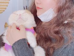 -Heymao猫咖.咖啡厅(东门店)