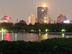 -莲花池公园