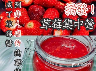 留住春天——自制草莓果酱