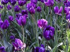 -长春公园(普阳街道)