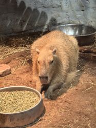 -Zoolung Zoolung动物主题公园(海信广场店)