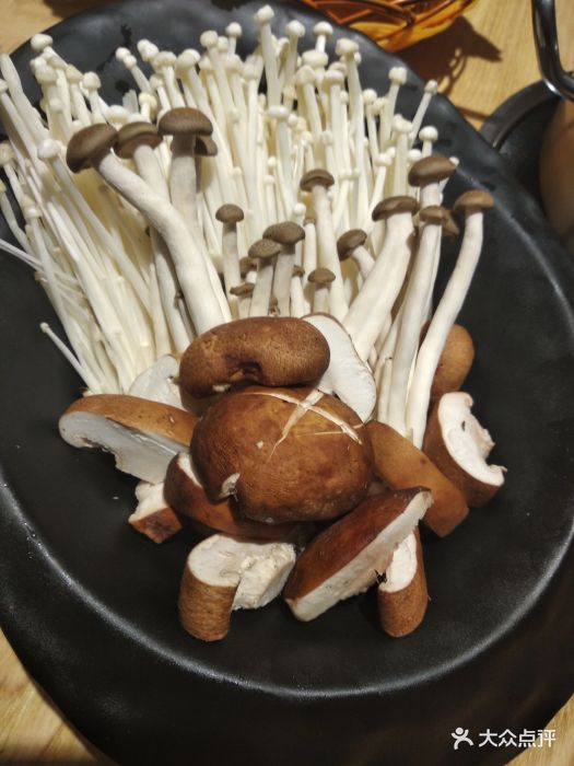 张厝寨潮汕牛肉火锅杂菇拼盘图片 - 第232张