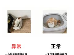 -康成宠物医院24H·CT·核磁共振