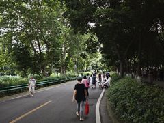 -沙河三洞古桥公园