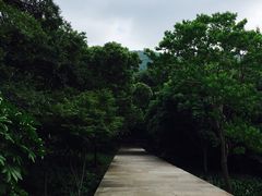 -普陀山风景区-佛顶山