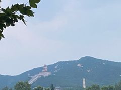 -龙口南山旅游景区