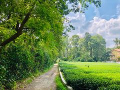 -旅马餐厅(茅家埠店)