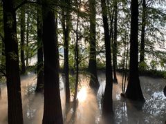-东湖落雁景区