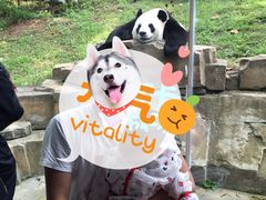 -大连森林动物园