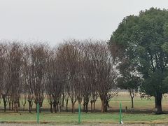 -阳澄湖半岛旅游度假区
