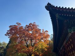 -香山公园