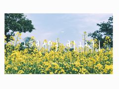 -艾溪湖湿地公园