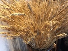 -老昌春饼(松北店)