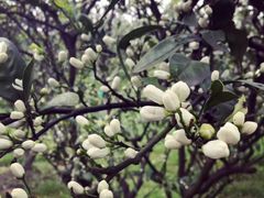 -华东政法大学(松江校区)