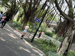 -南宁南湖公园