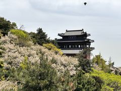 -泰山风景名胜区