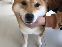 -怪兽屋·羊驼·猫咖·狗咖(俊华广场店)