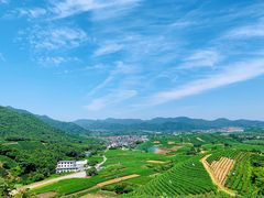 -龙坞茶村