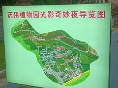 -广西壮族自治区药用植物园