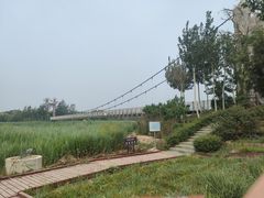 -西青郊野公园