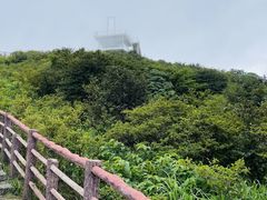 -大围山国家森林公园