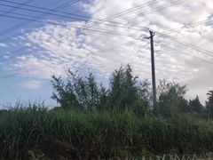 -三圣花乡旅游区