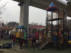 -秀丽东方