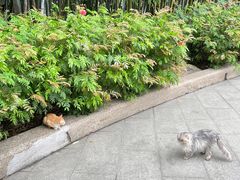 -烈士陵园(地铁站)