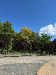 -大望京儿童游乐场