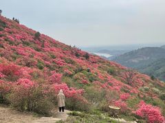 -木兰云雾山