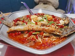 -马邦子·紫苏烤鱼(恒隆广场店)
