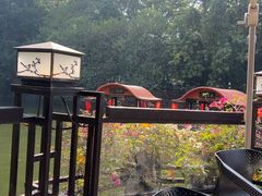 -侨美·唐荔园·40年地道粤菜