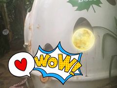 -100蛋泥浆浴